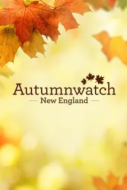 Autumnwatch New England Miniseries