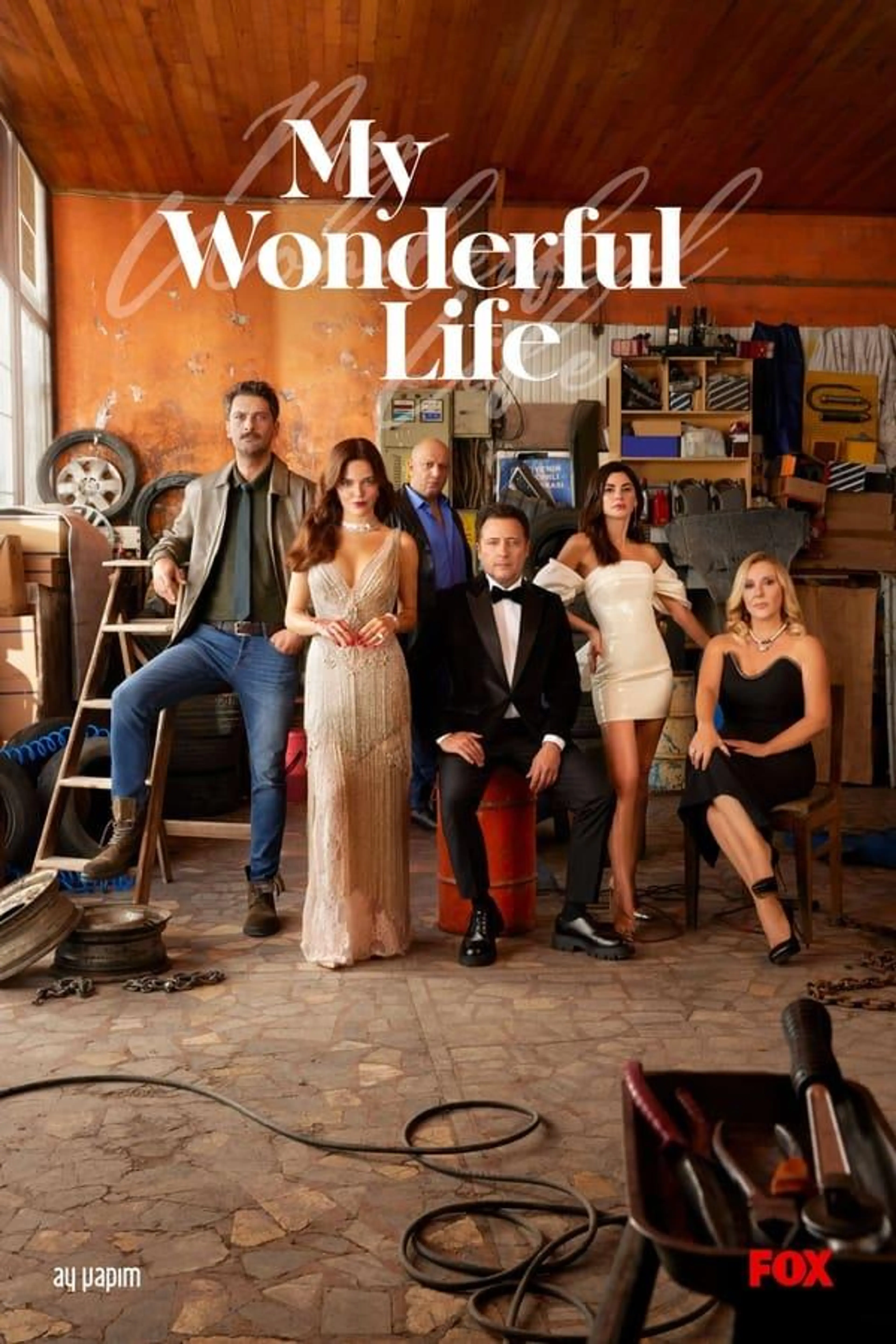 My Wonderful Life Season 1
