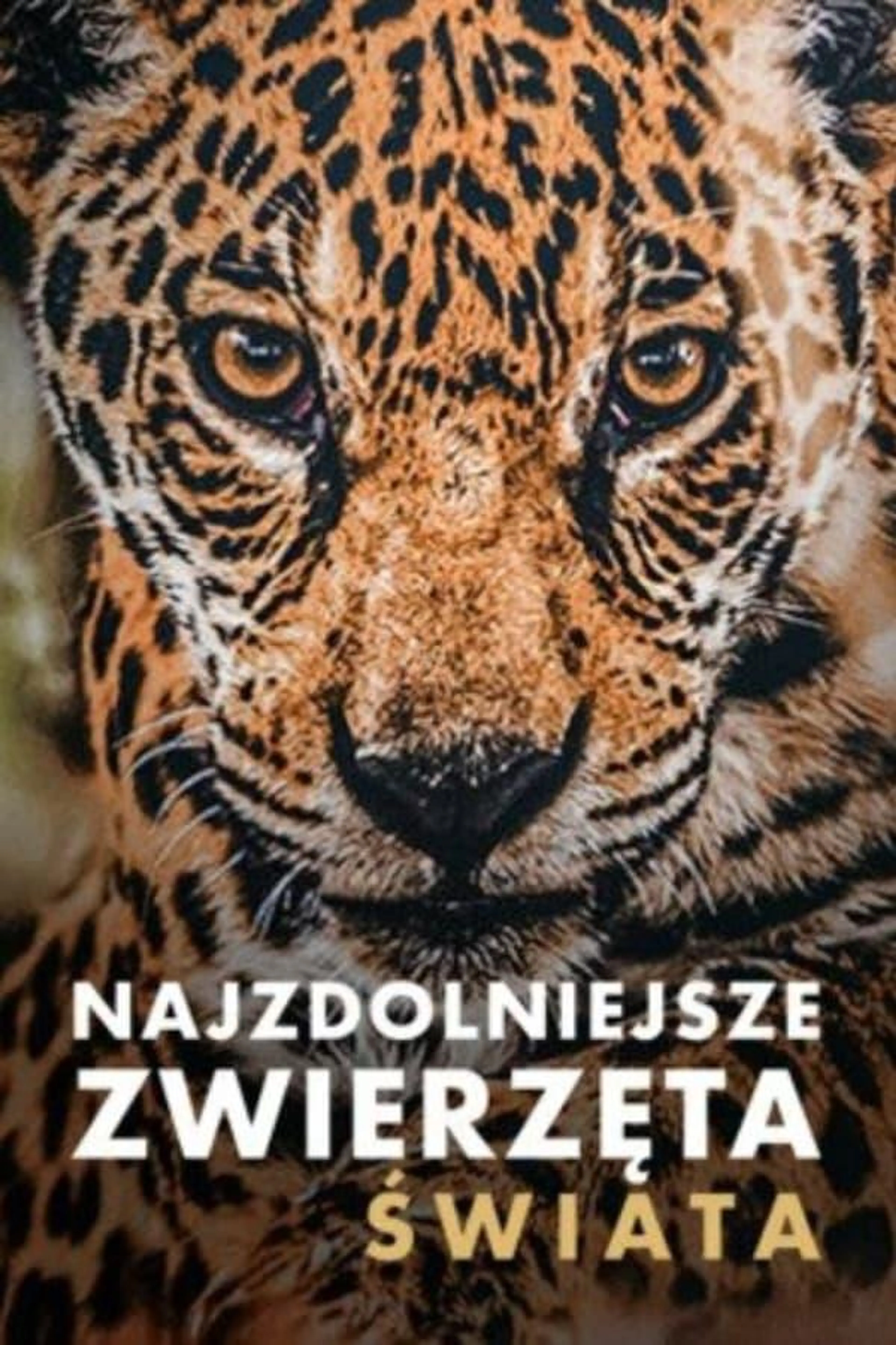 Naturtalente Season 1