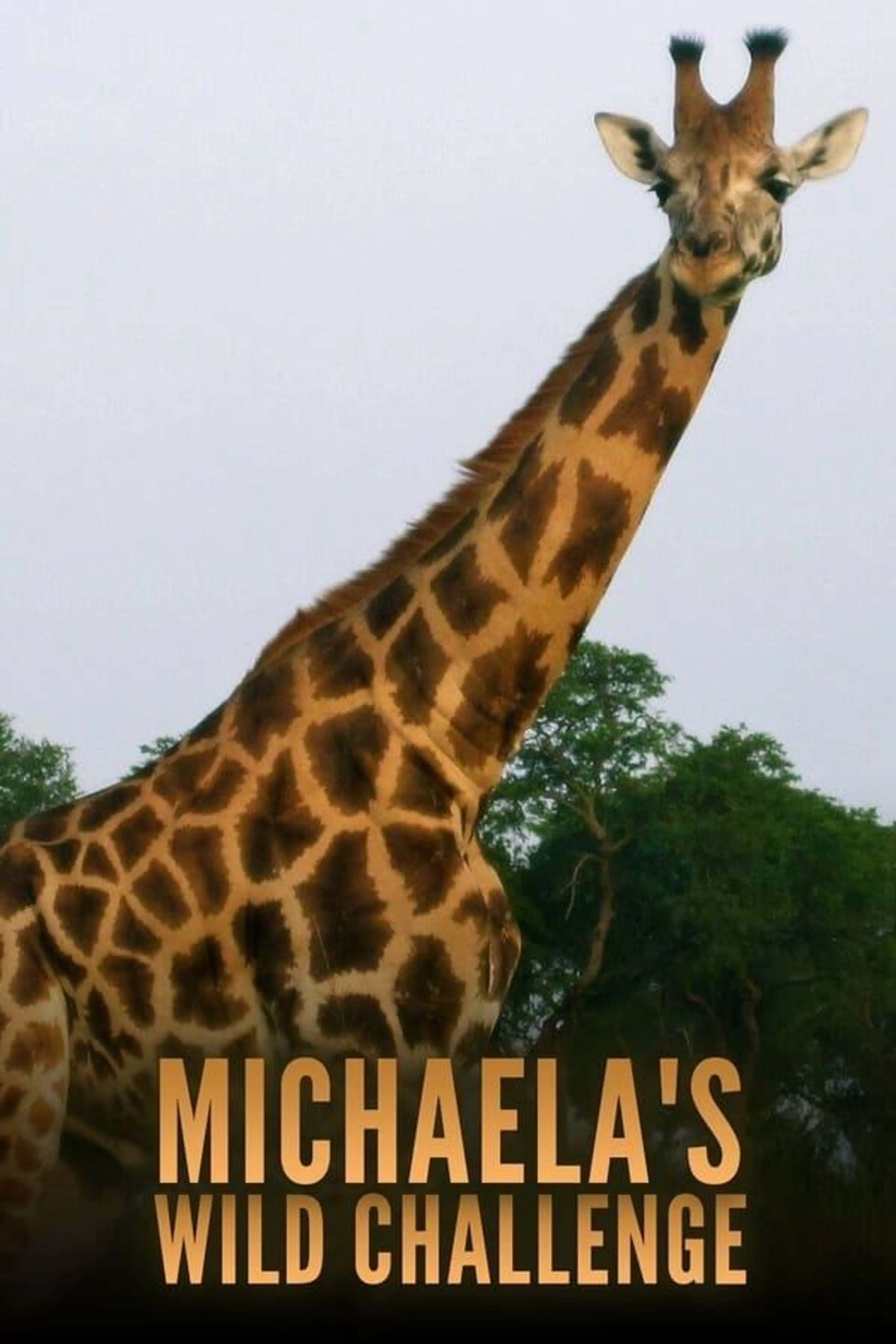 Michaela's Wild Challenge Season 2