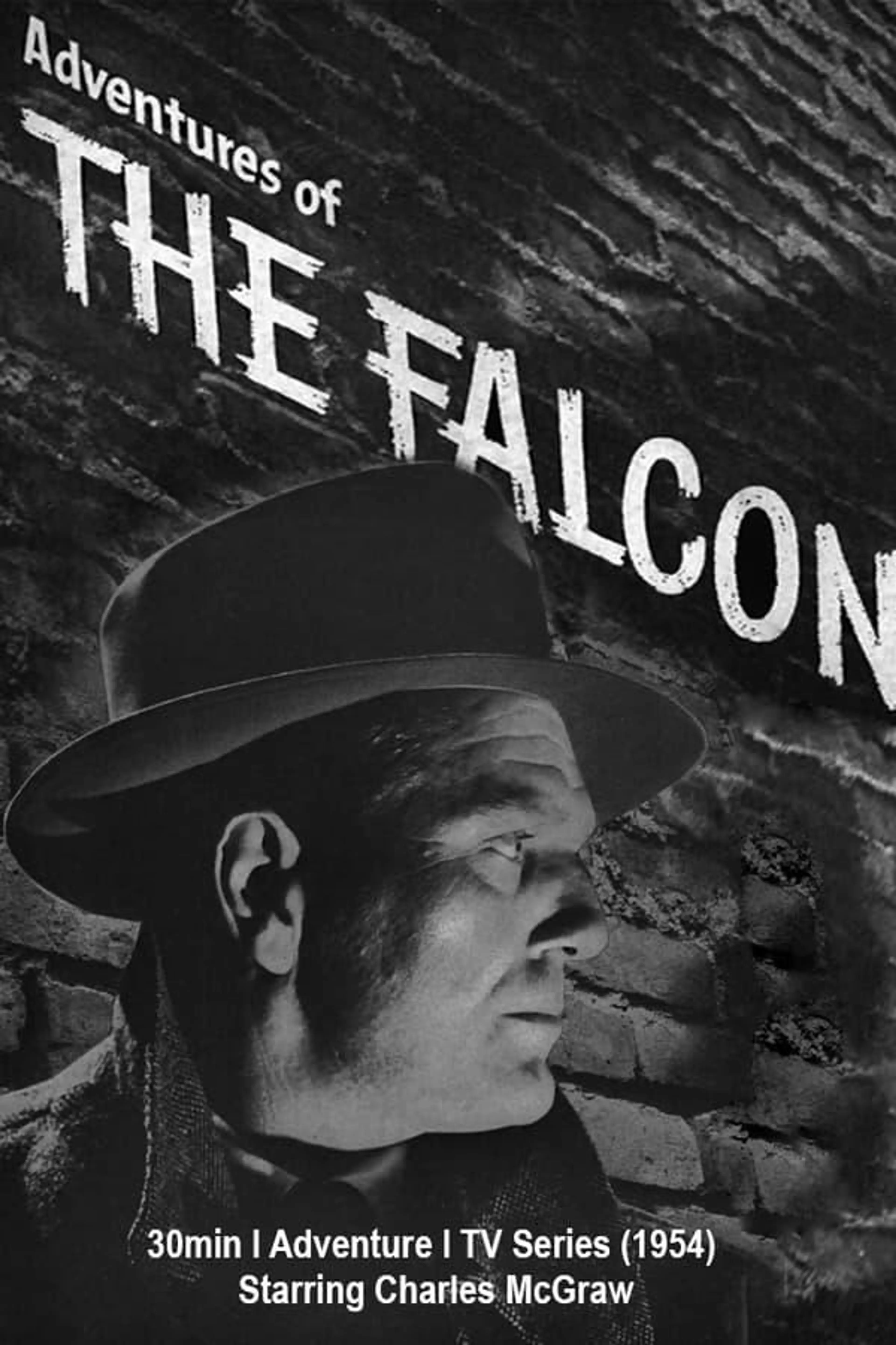 Adventures Of The Falcon Season 1