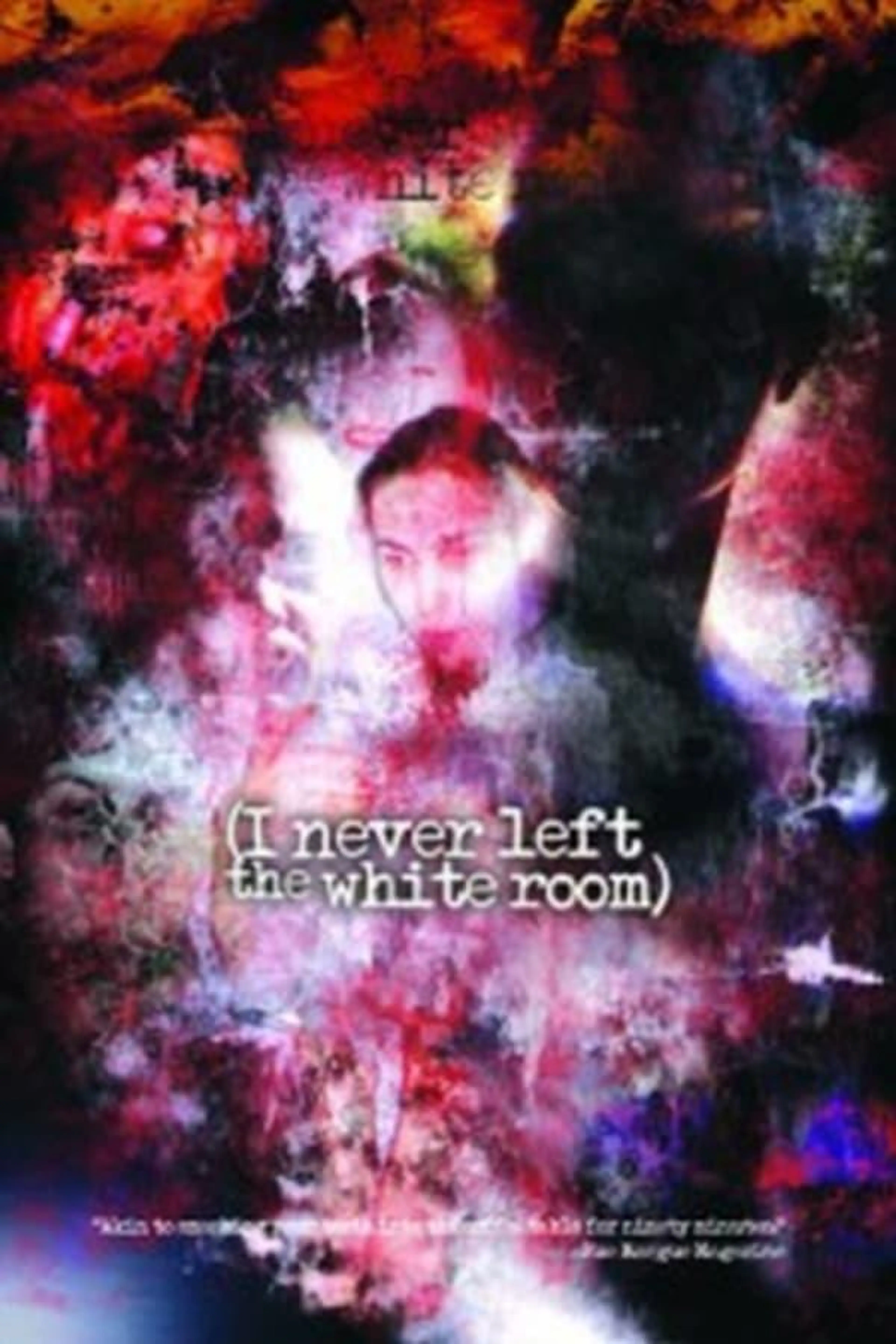 I Never Left the White Room
