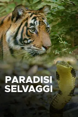Paradisi selvaggi Season 1