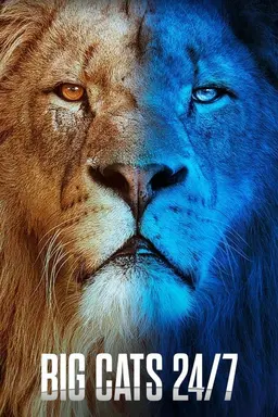 Big Cats 24/7 Series 1