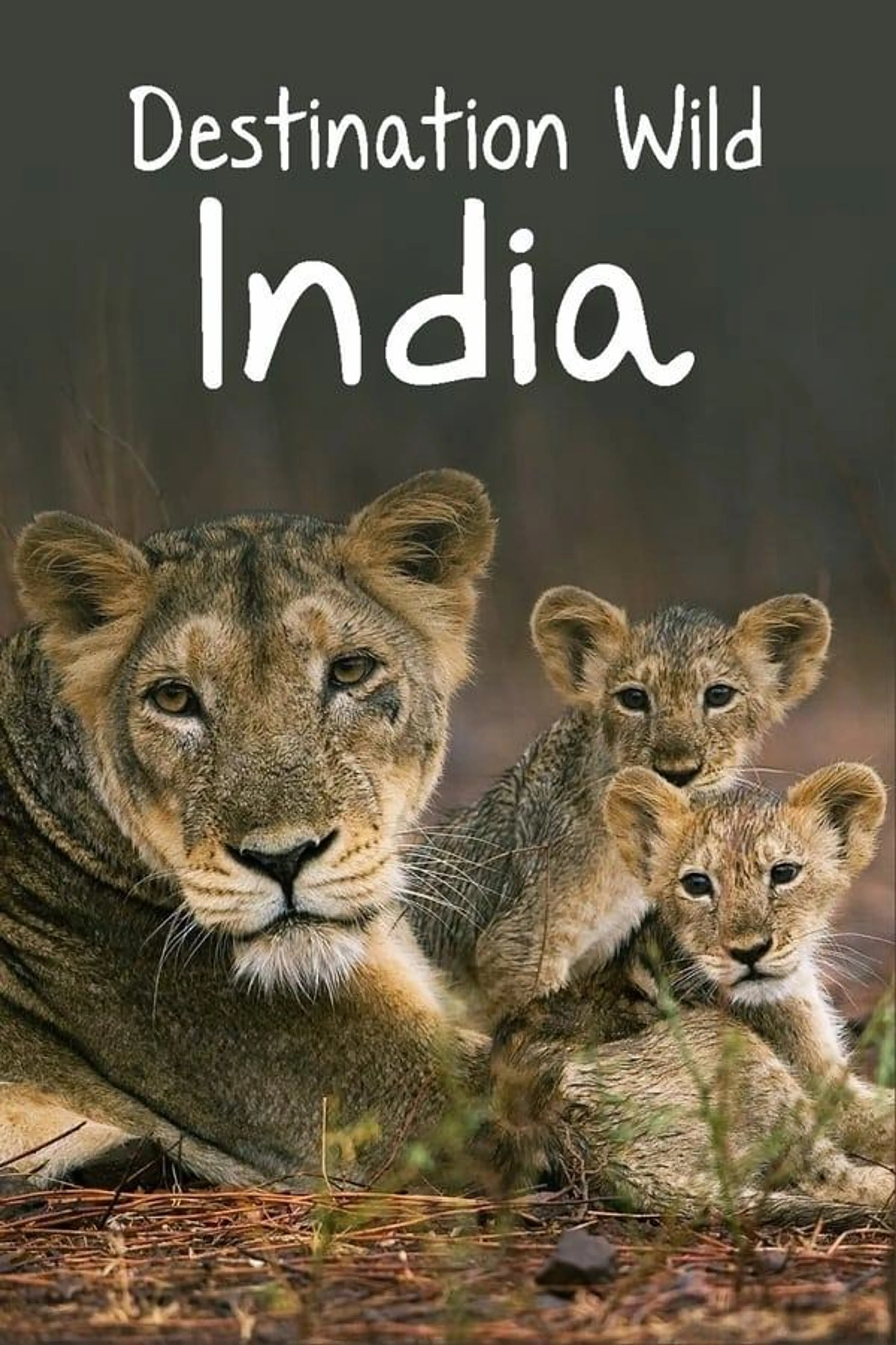 Destination Wild: India Season 1