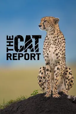 The Cat Report Season 1