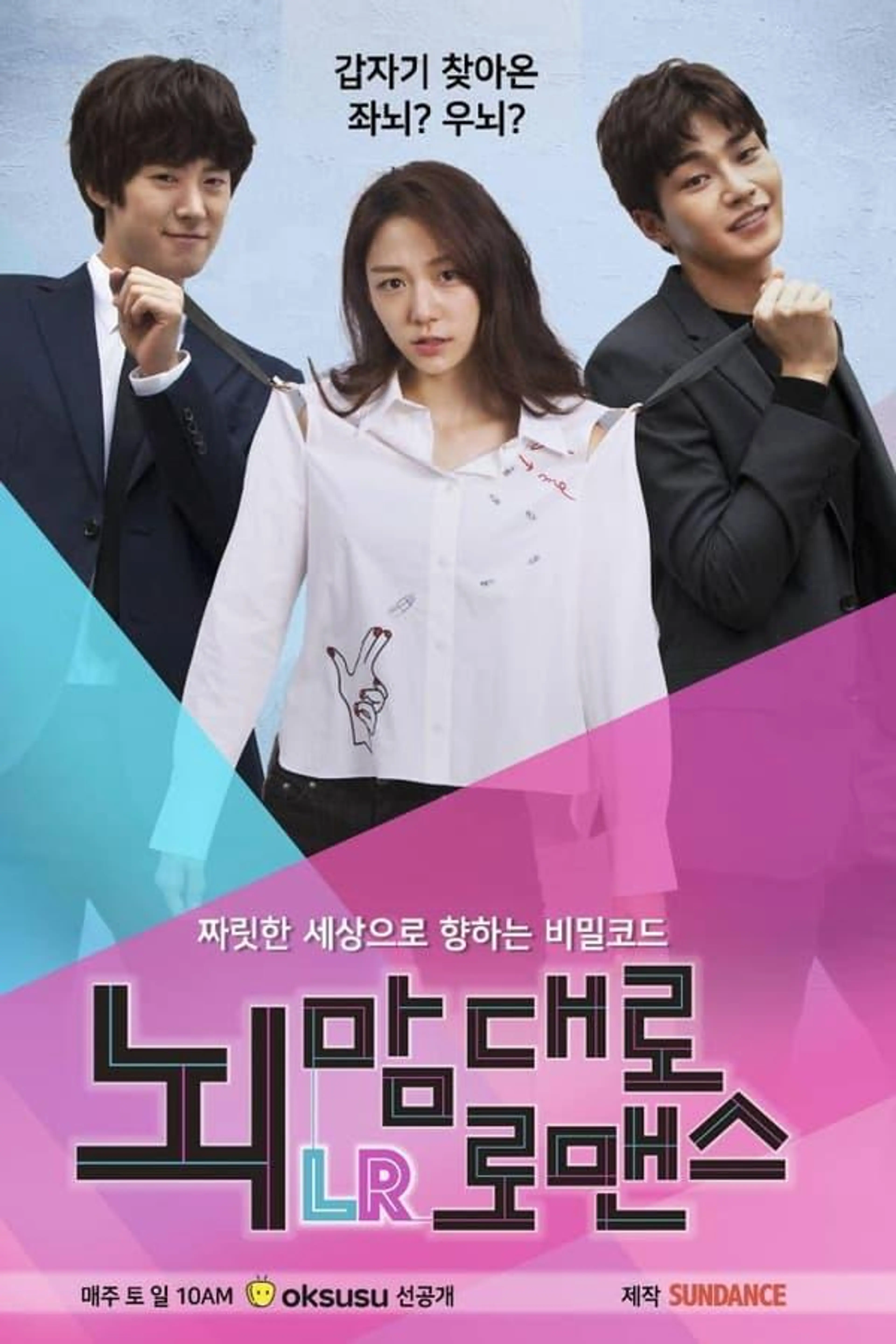 Brain, Your Choice of Romance Season 1
