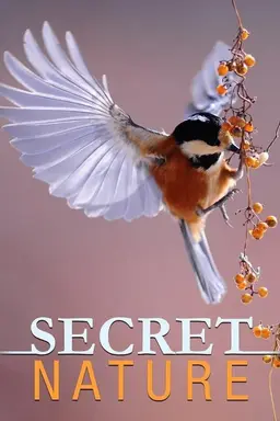 Secret Nature Season 1