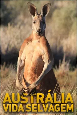 Australian Wildlife Season 1