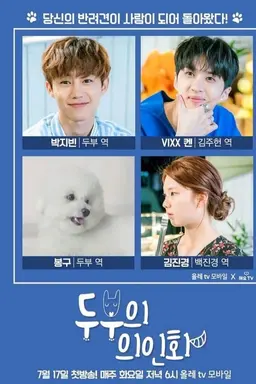 Tofu Personified Season 1