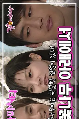 Drama City: Under the Cherry Blossoms Season 1