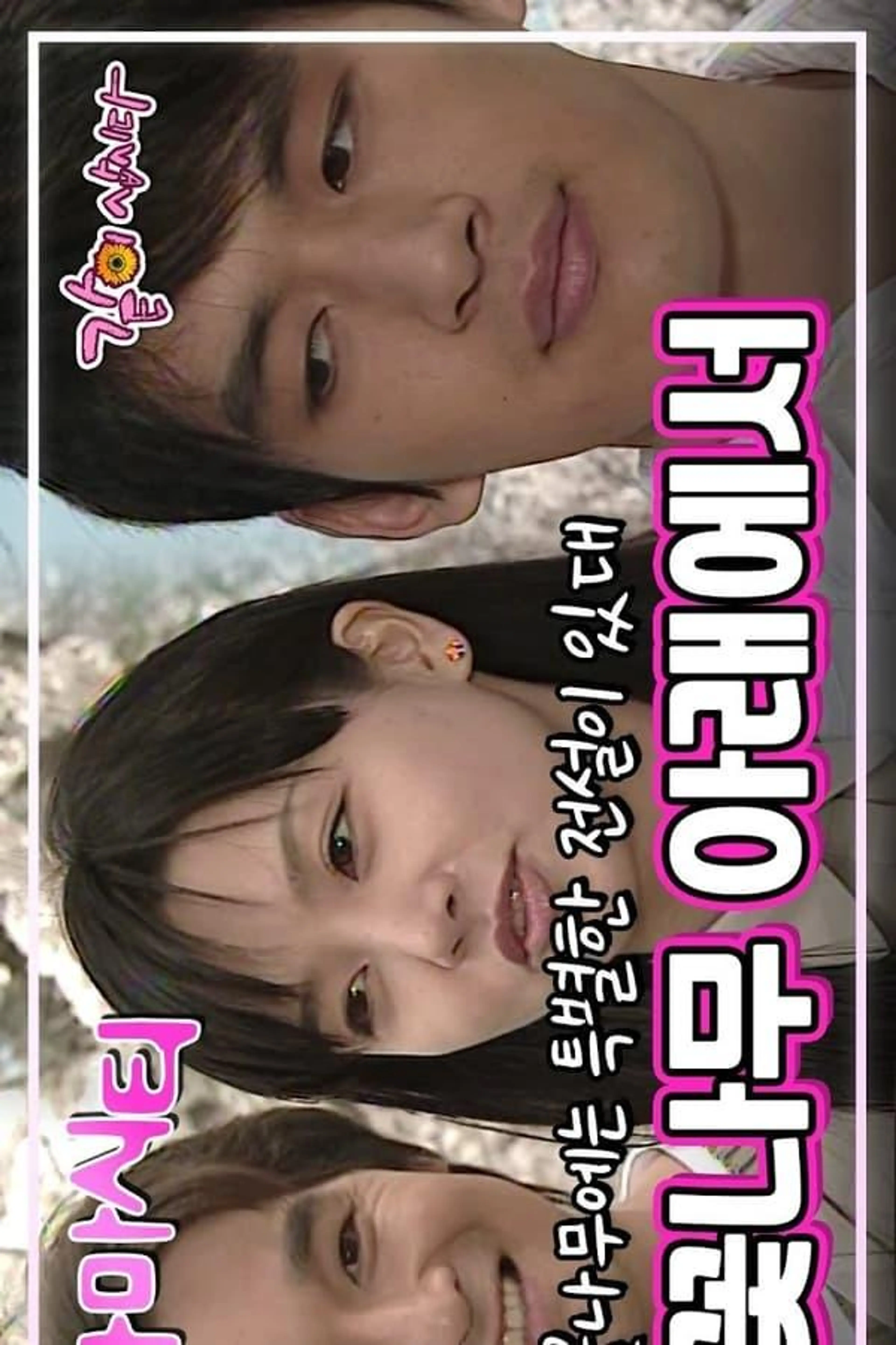 Drama City: Under the Cherry Blossoms Season 1