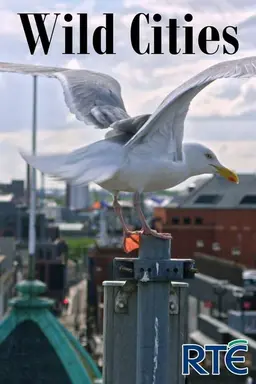 Wild Cities Season 1
