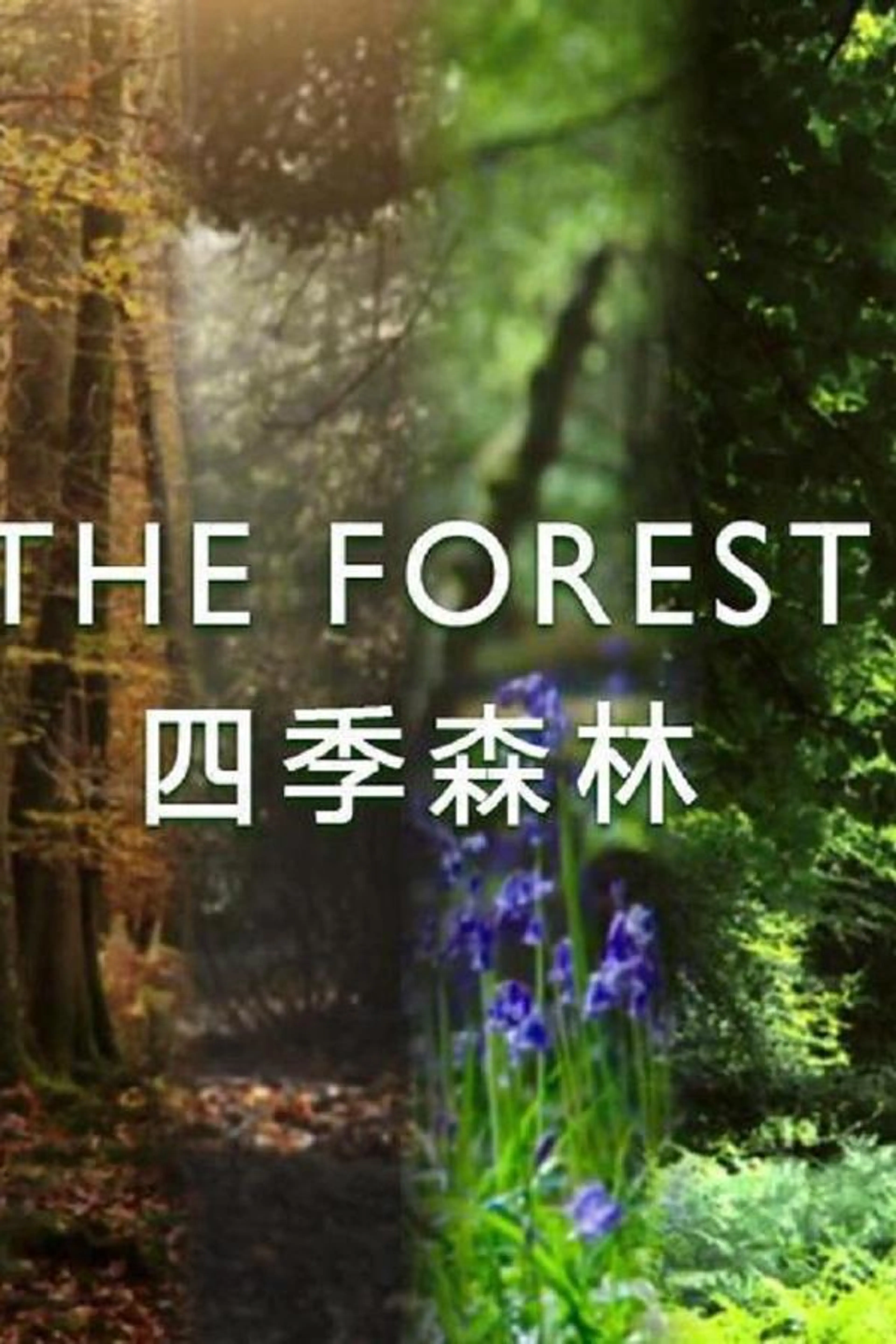 The Forest Season 1