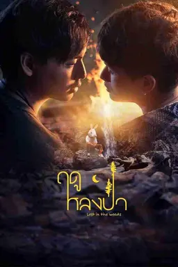 Lost in the Woods Season 1