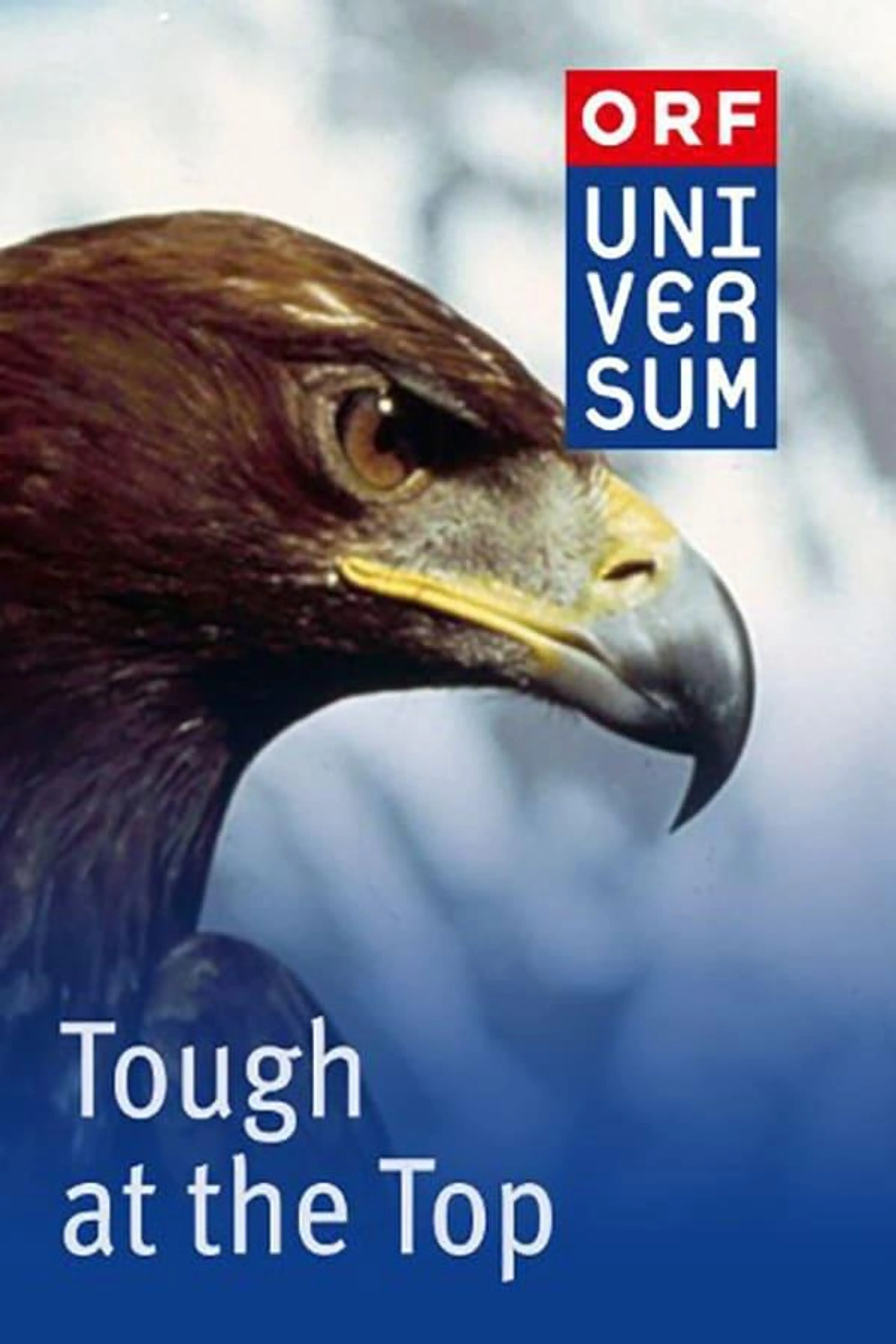 Tough at the Top