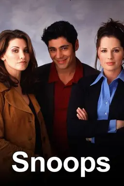 Snoops Season 1