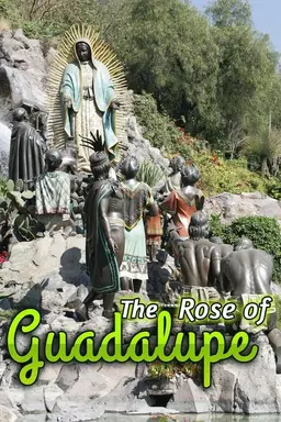 La rosa de Guadalupe Season 11