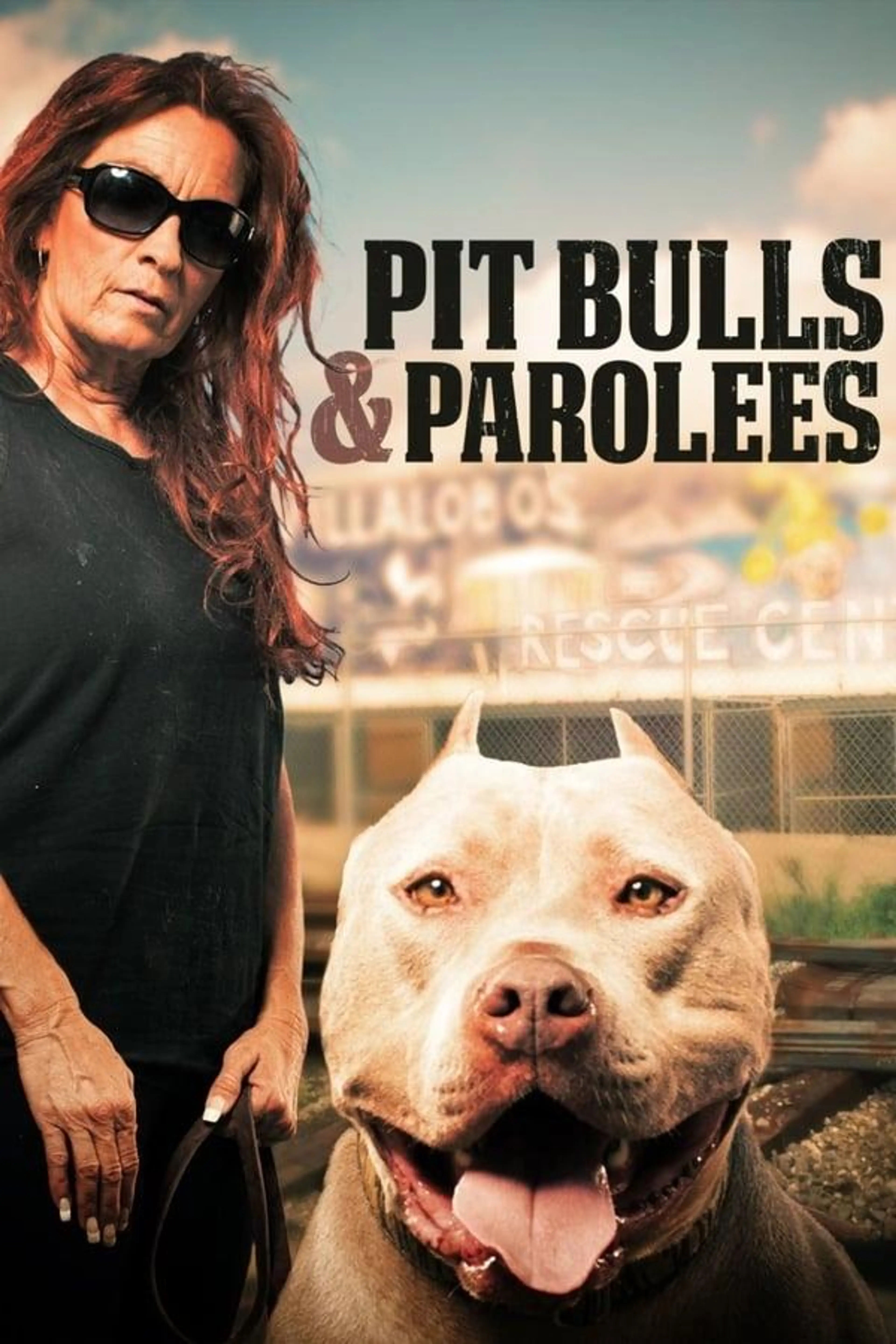 Pit Bulls and Parolees Specials