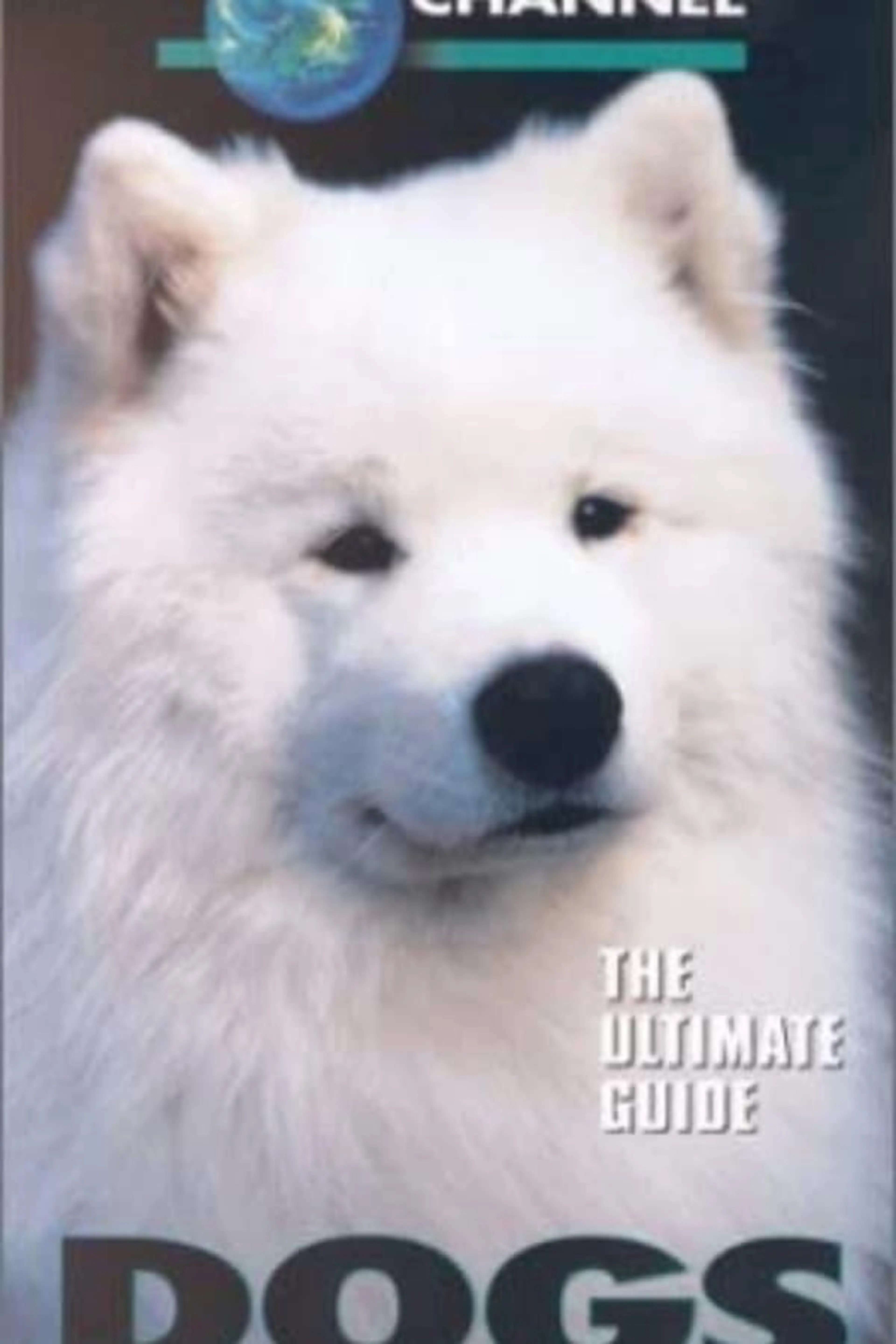 The  Ultimate Guide - Dogs