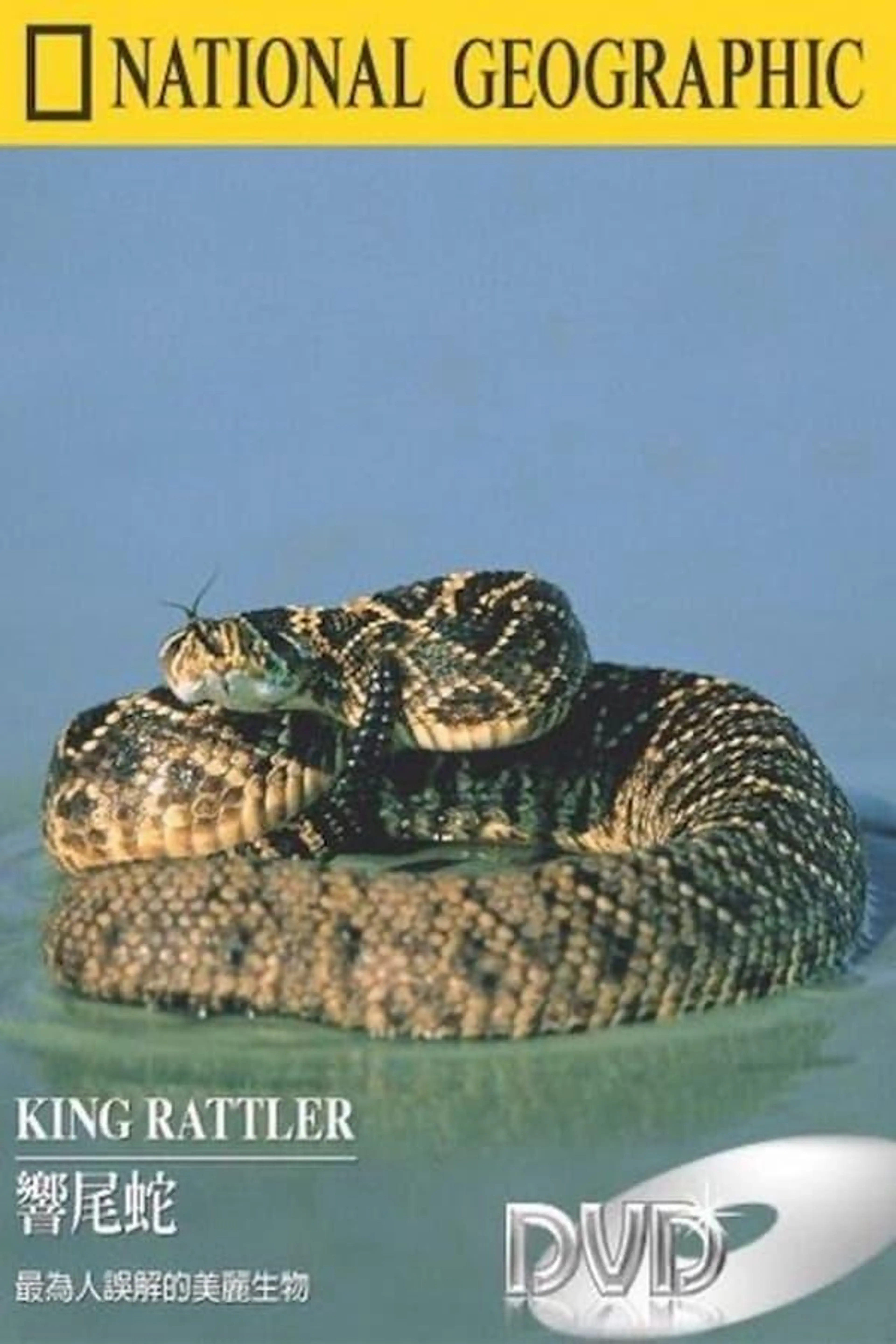 King Rattler
