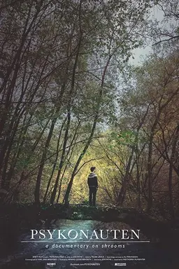 The Psychonaut