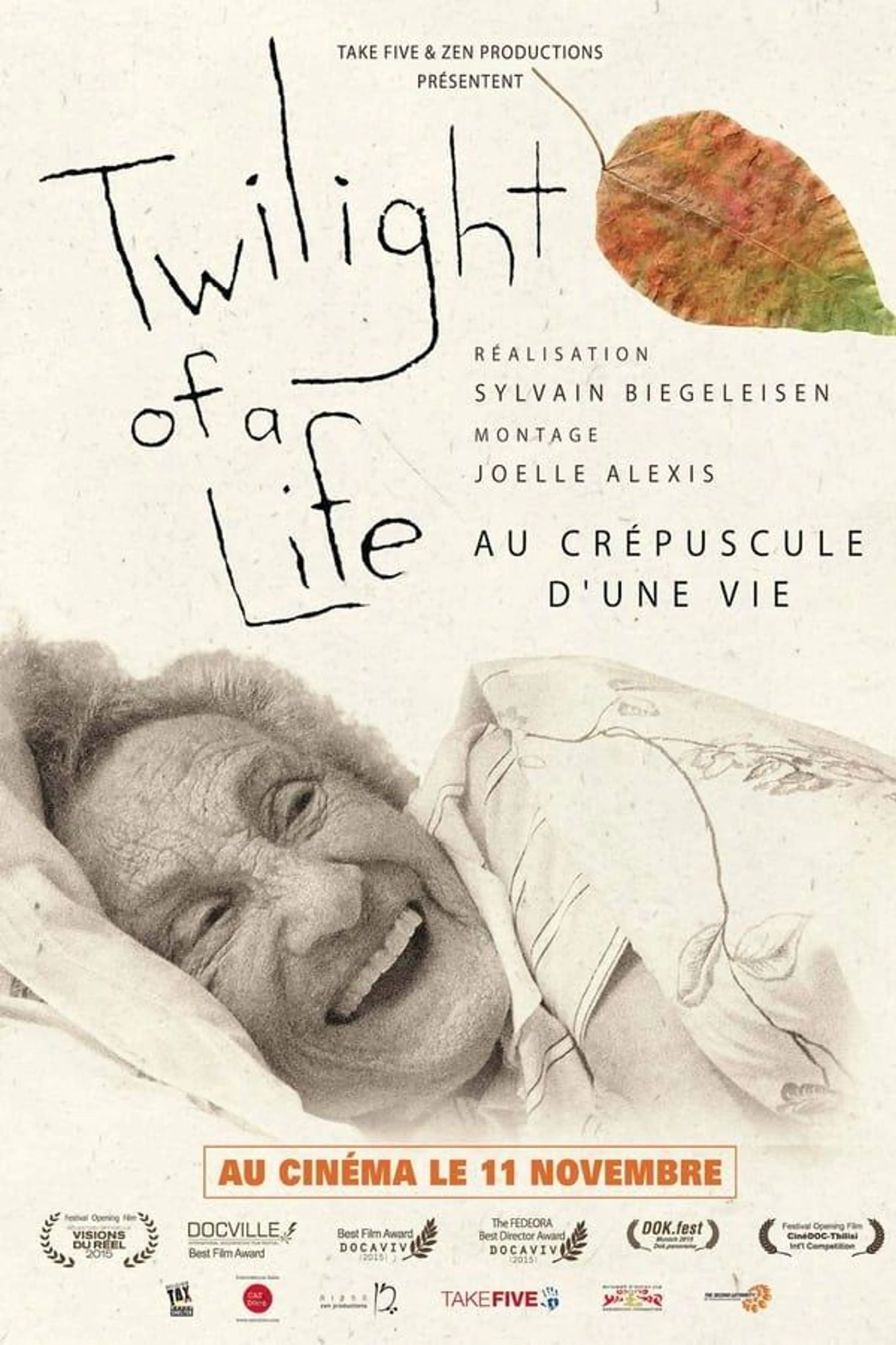 Twilight of a Life