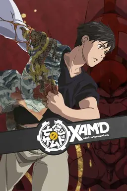 Xam'd: Lost Memories Season 1