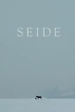 Seide