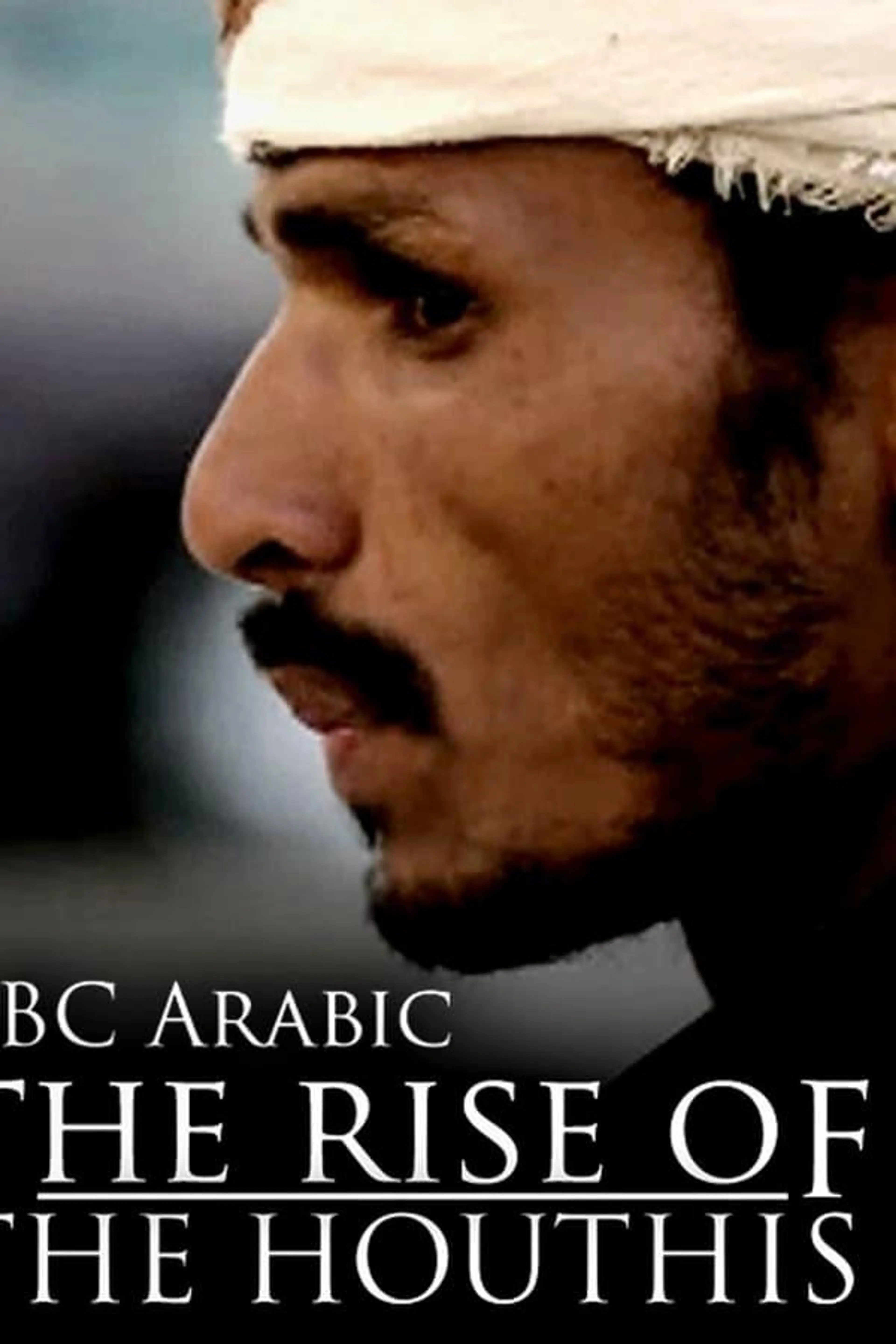 The Rise of the Houthis