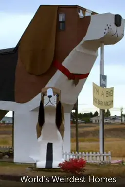 World's Weirdest Homes