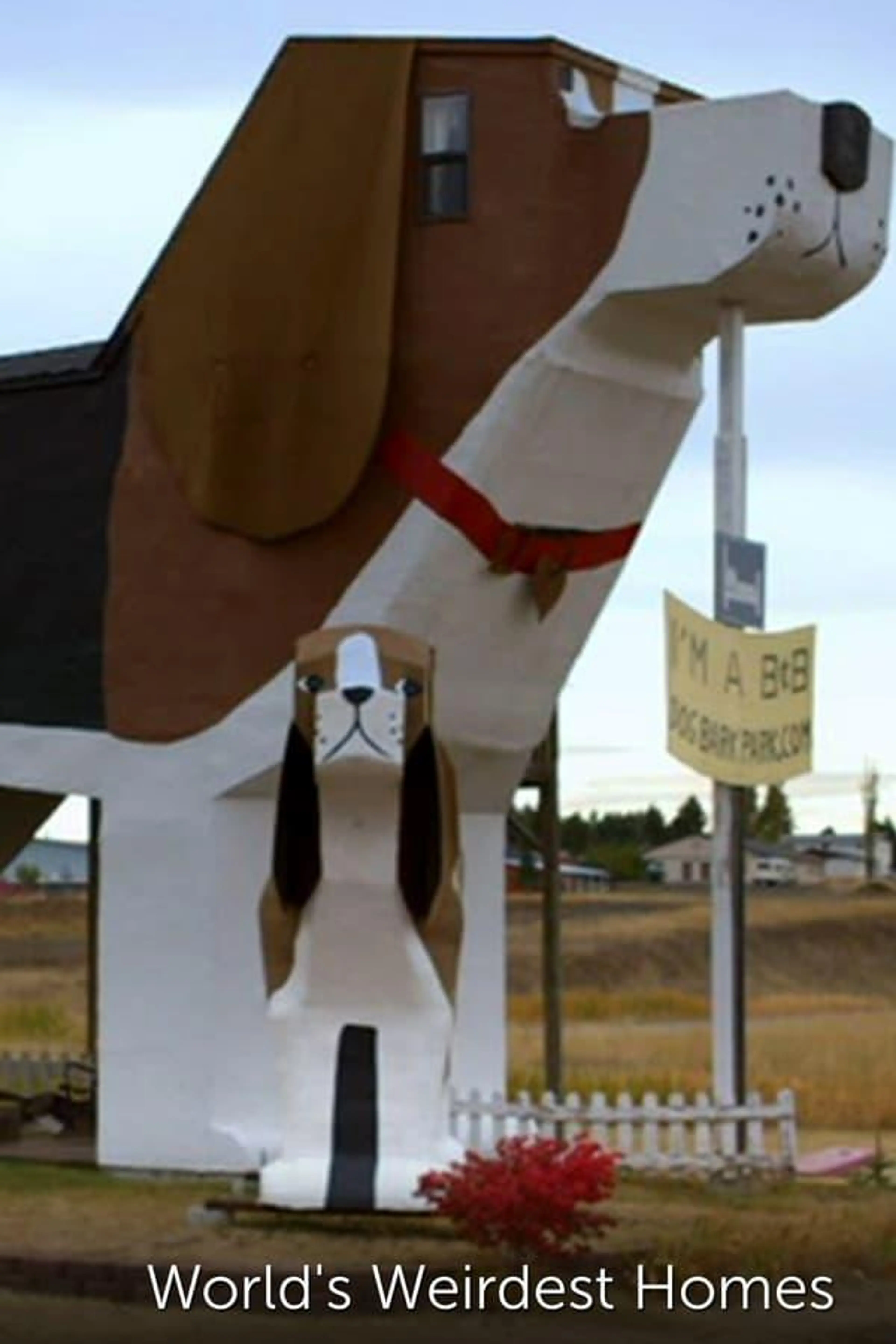 World's Weirdest Homes