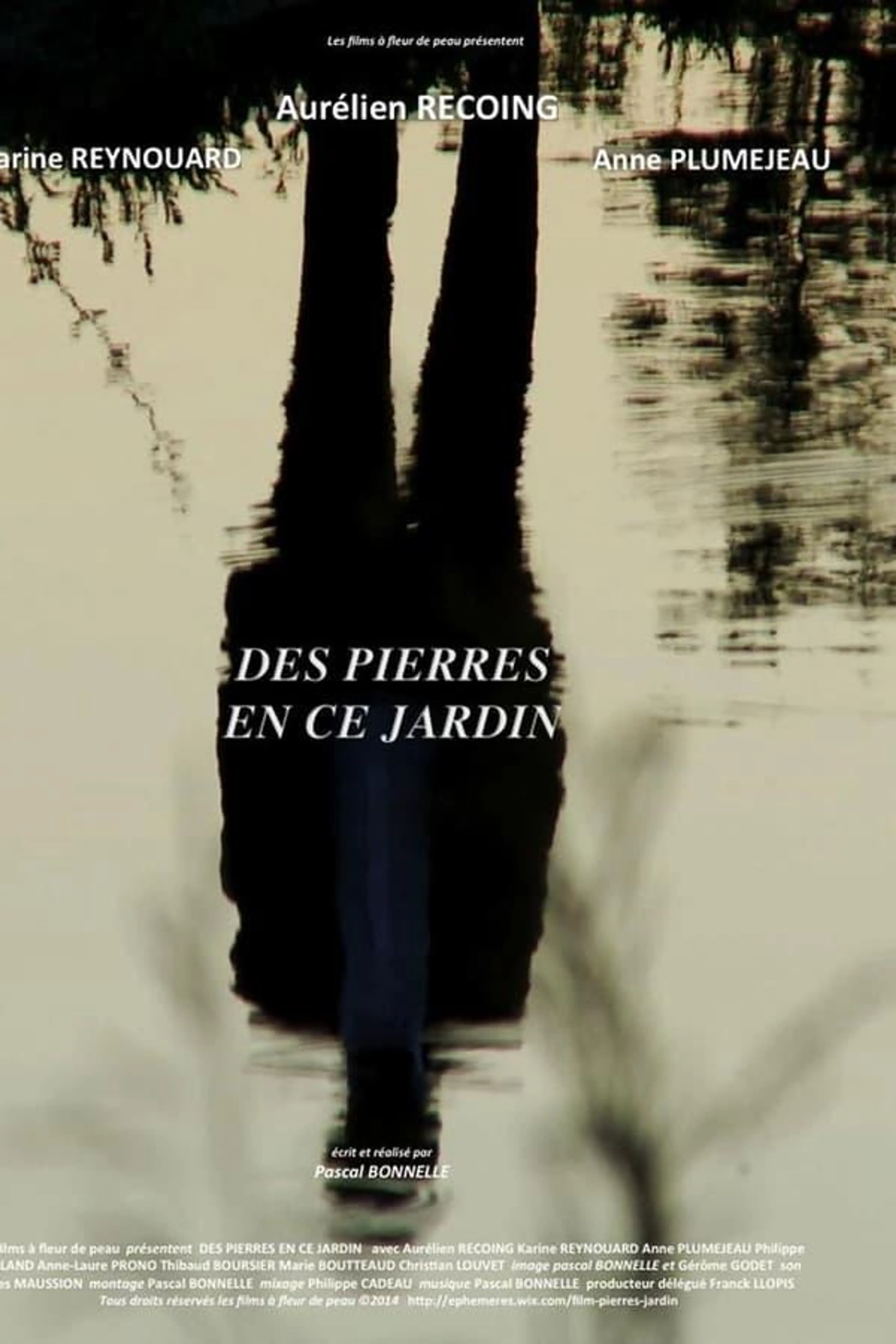 Des pierres en ce jardin