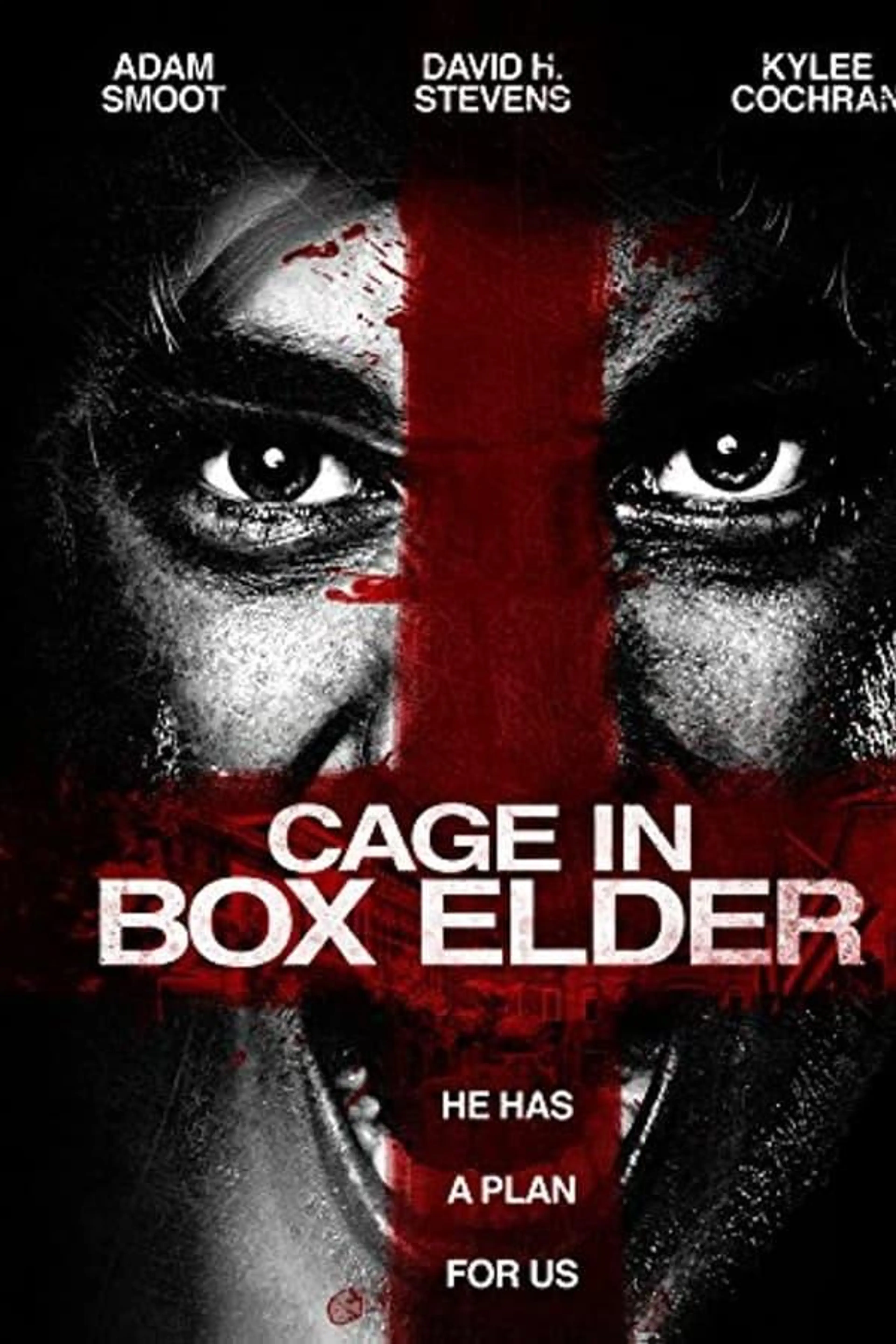 Cage in Box Elder