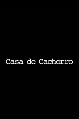 Casa de Cachorro