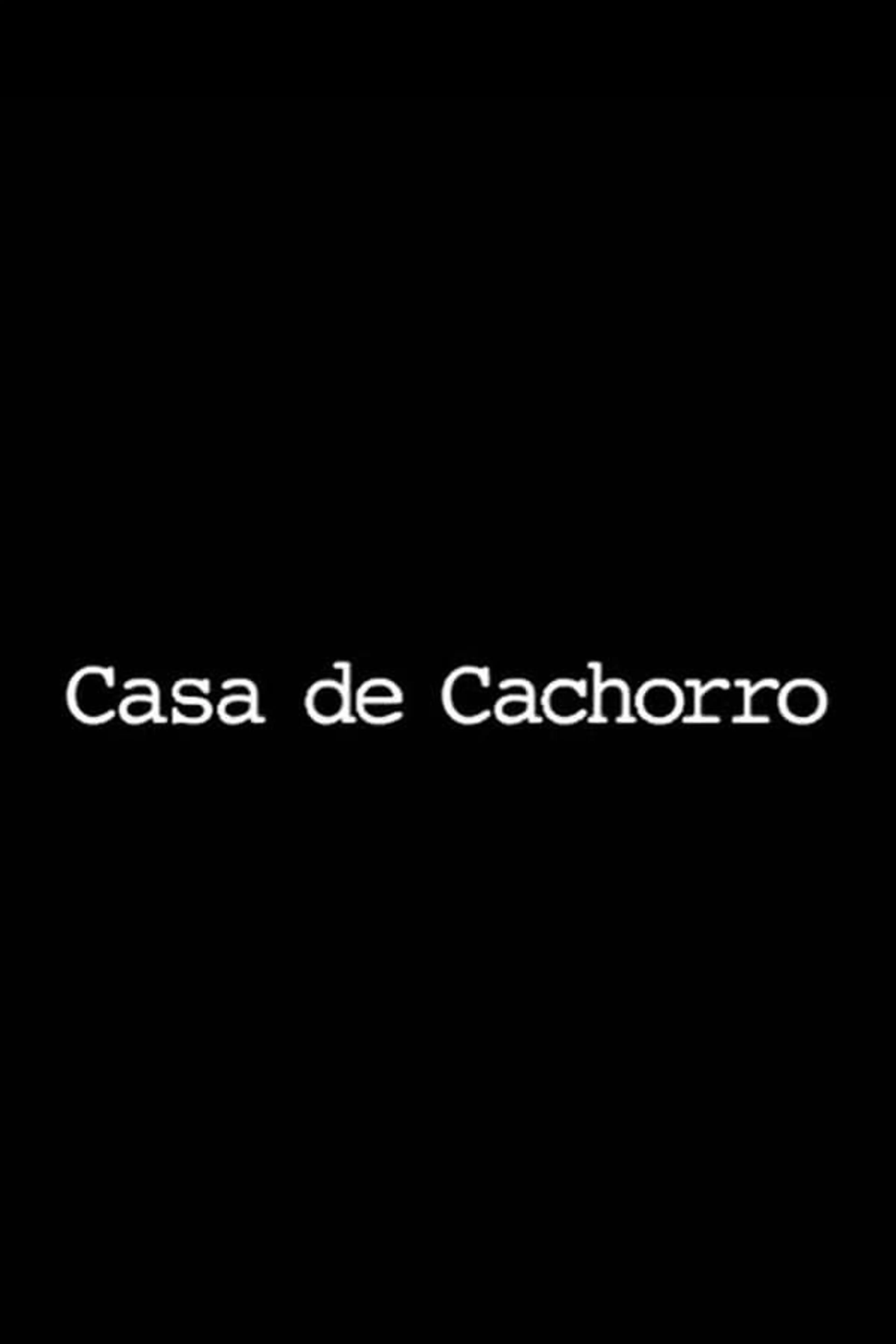 Casa de Cachorro