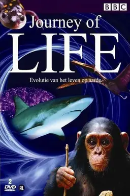 Journey of Life Season 1