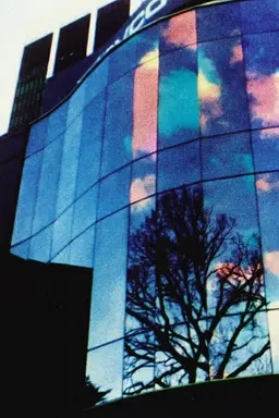 The City of Chromatic Dissolution