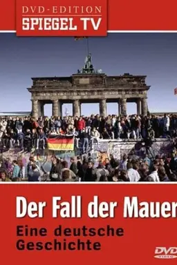 Der Fall der Mauer