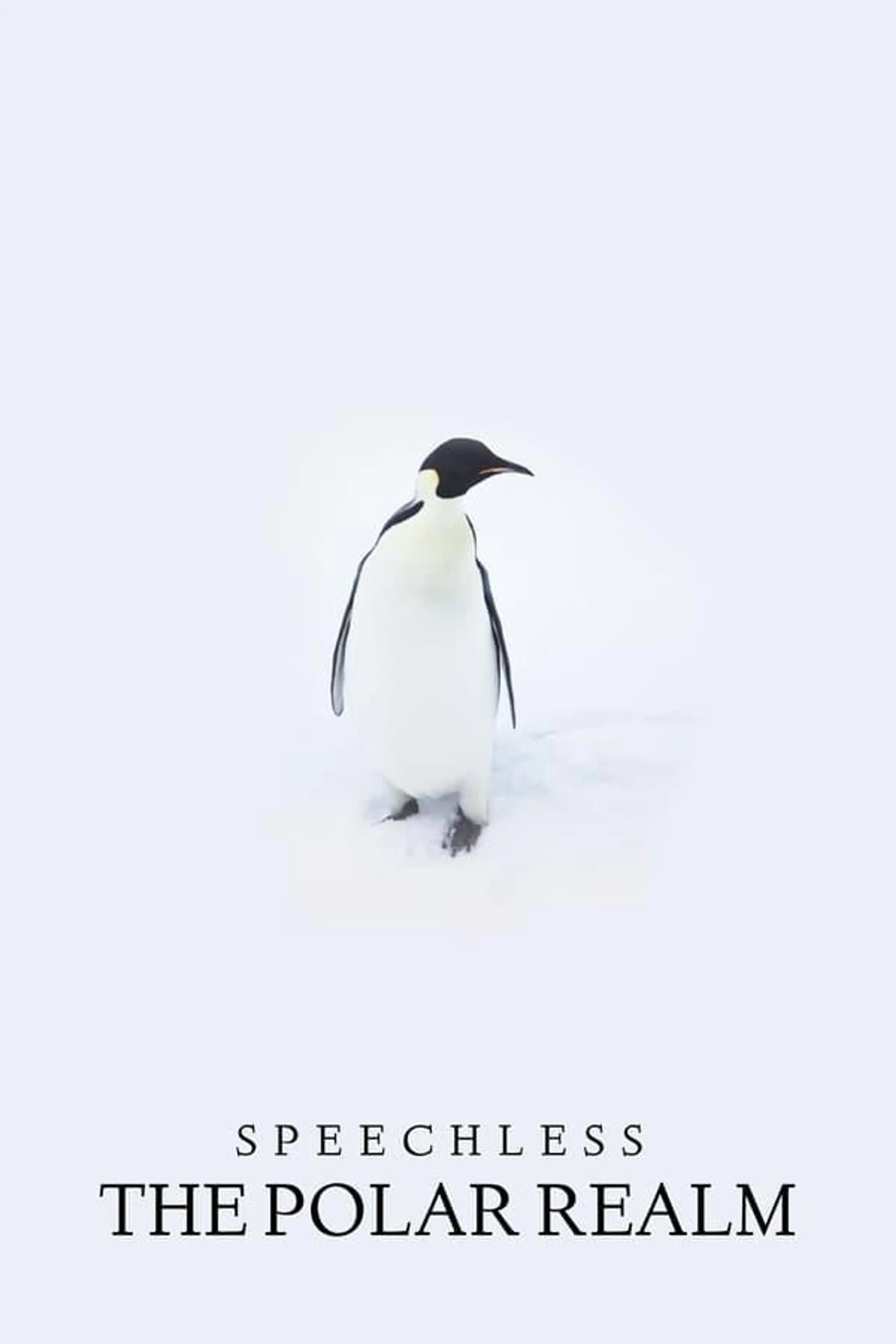 Speechless: The Polar Realm