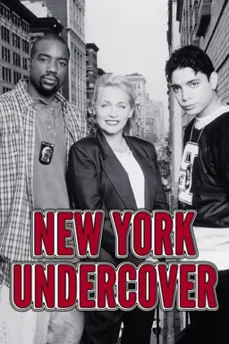 New York Undercover Season 3