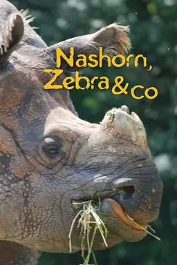 Nashorn, Zebra & Co. Season 7