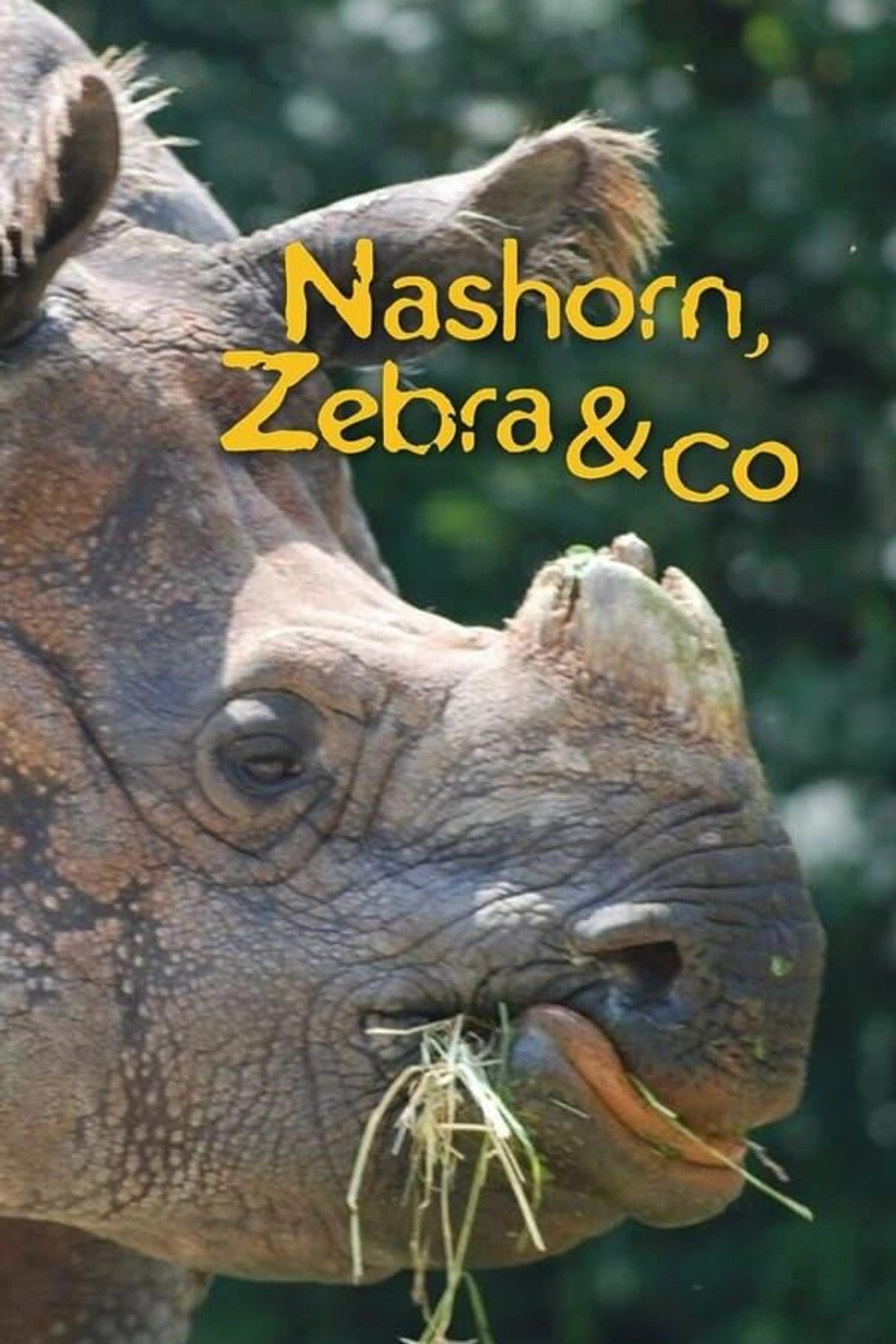 Nashorn, Zebra & Co. Season 7