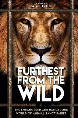 Furthest from the Wild