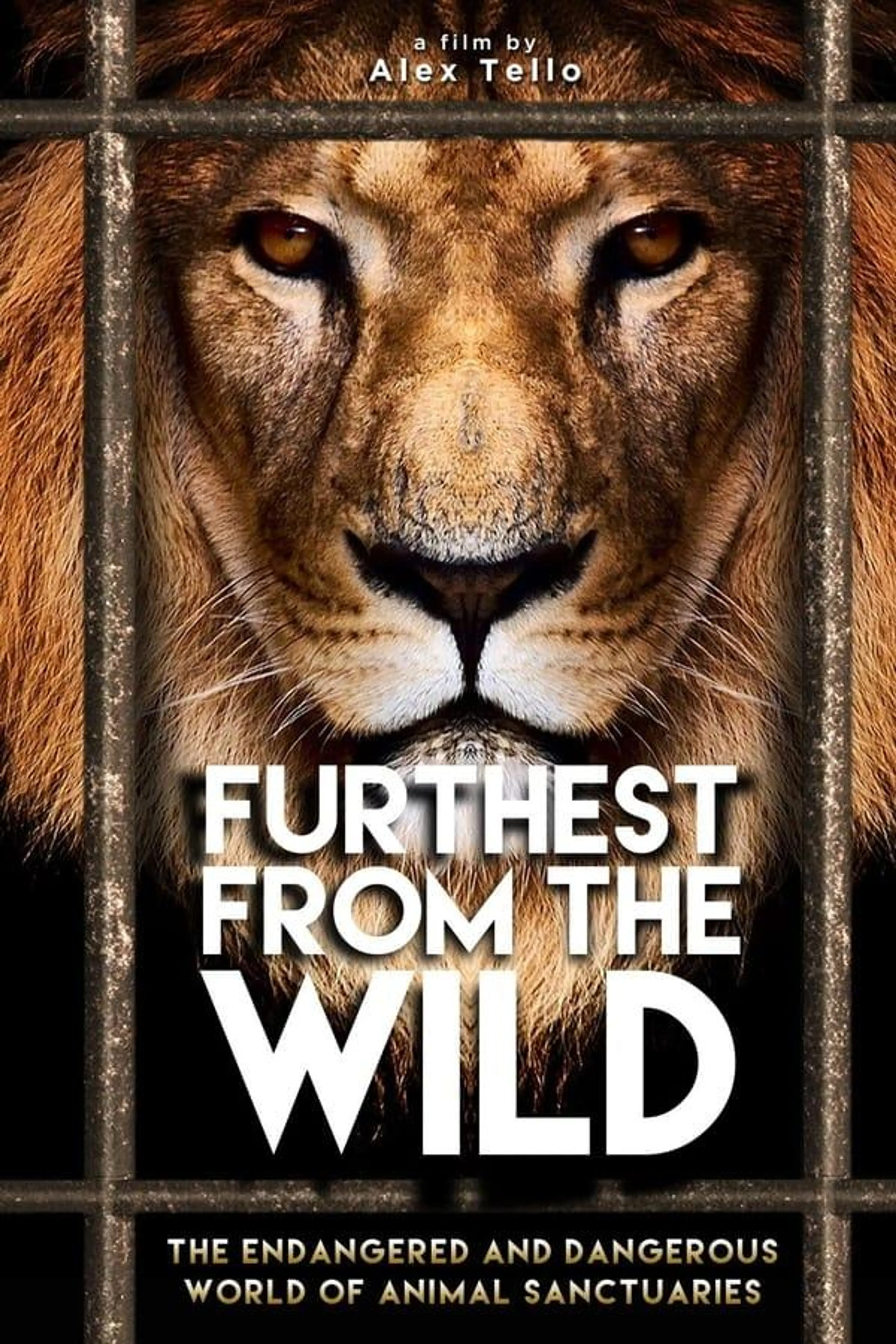 Furthest from the Wild