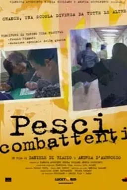 Pesci combattenti