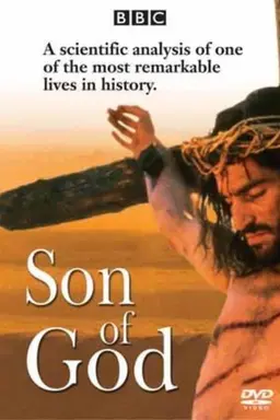 Jesus: The Complete Story Miniseries