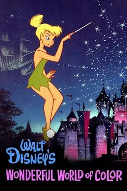 The Wonderful World of Disney Season 13