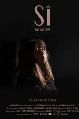 Shadow