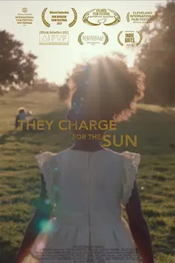 They Charge For The Sun